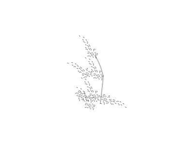 乔木种植 家具图块