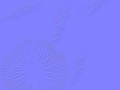 其他法线