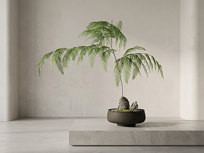 造型绿植盆栽