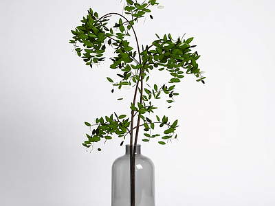 盆栽植物装饰