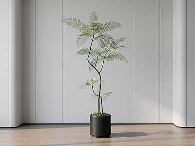 造型绿植盆栽