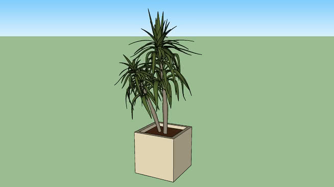 /棕榈植物的花盆 其他 画 菠萝 湖