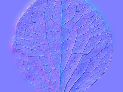 其他法线
