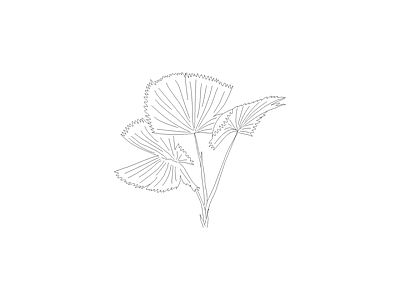 花 人物家具