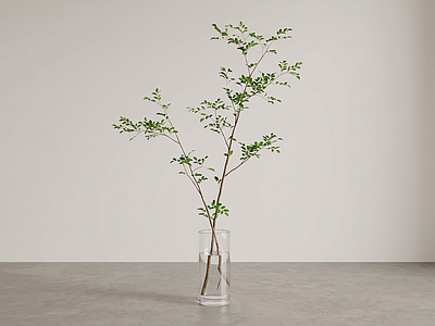 艺术绿植灌木