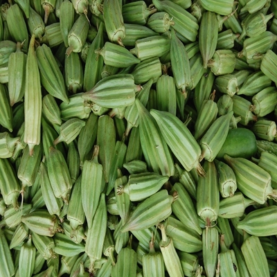 食物 种子 五谷杂粮 蔬菜秋葵
