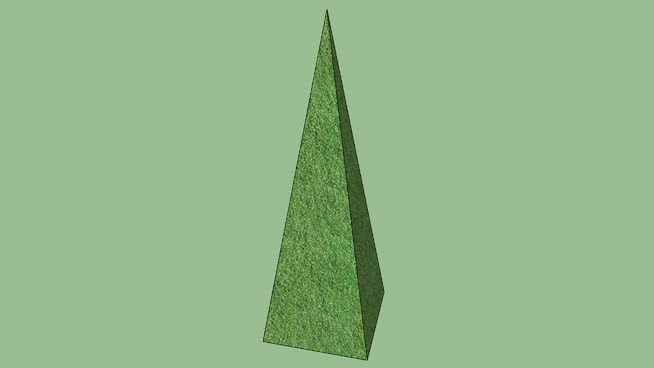 顶锥体 其他 植物 衣物 叶蝉 画