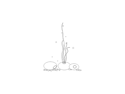 水生植物 植物立面