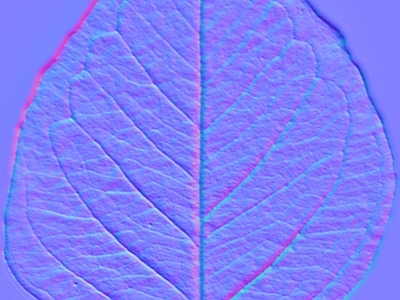 其他法线