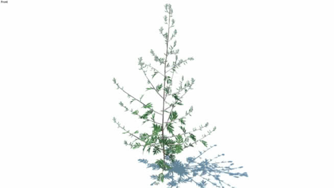 草料，高聚物，vray准备好（086） 画 其他 室外 饰品