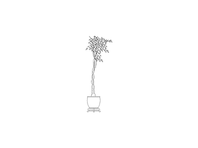 绿植 植物图块