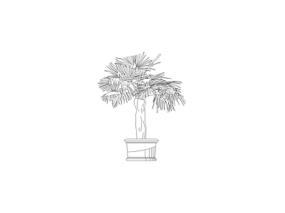 绿植 植物图块