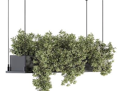 现代绿植吊篮