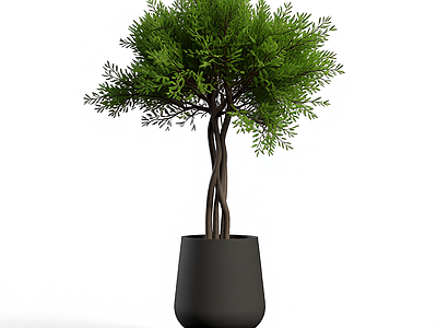 盆栽植物模型