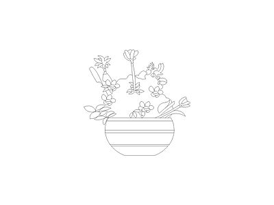 花 备用植物图例