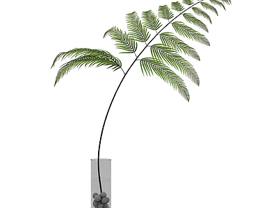 带盆绿植模型