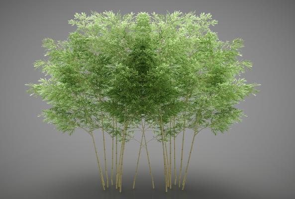 现代风格小品