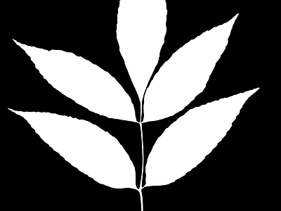 其他黑白凹凸