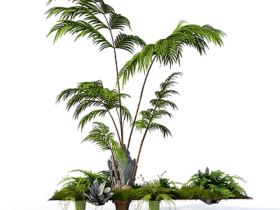 组合盆栽植物景观