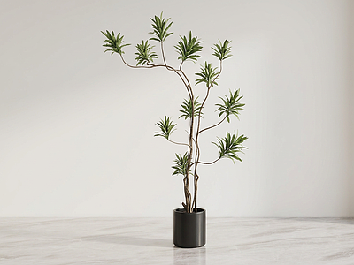 艺术绿植盆栽