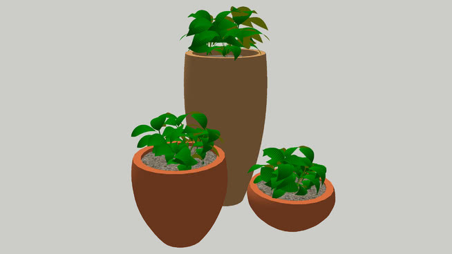 瓦斯奥康托 植物 花盆 其他 美食 花瓶