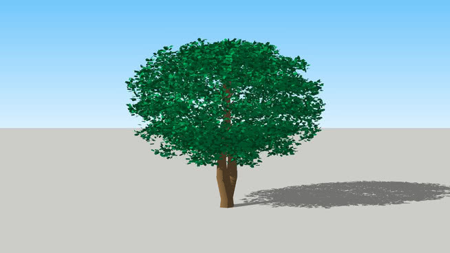 树 画 其他 沙滩 草地