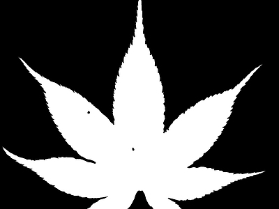 其他黑白凹凸