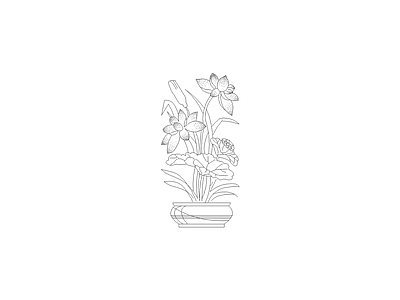 花 常用植物图例