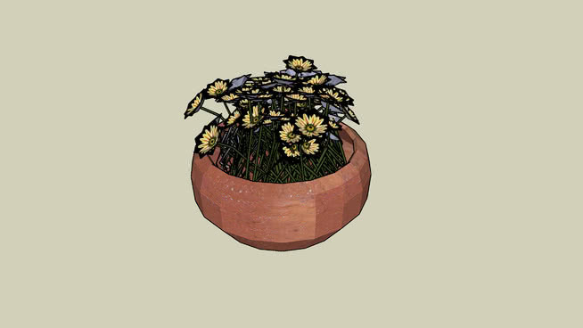 盆花 花盆 植物 饰品 其他 黑脉金斑蝶