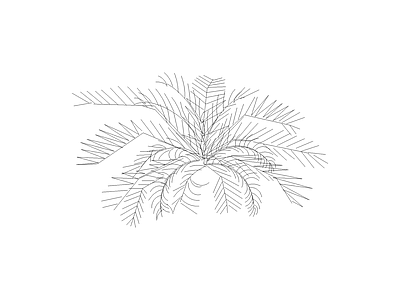 乔木种植 常用植物图例