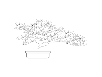 乔木种植 植物立面