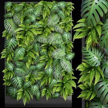 现代植物墙