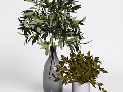 盆栽植物组合