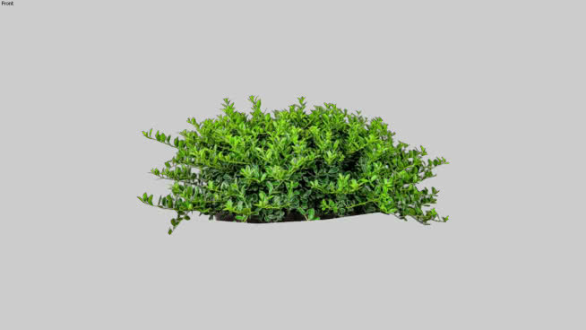Heleli霍利二维切口 植物 其他 西兰花 画 花盆
