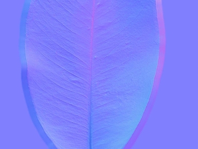 其他法线