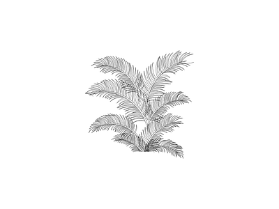 种绿植盆栽图块 植物