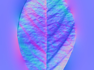其他法线