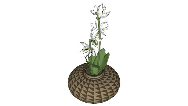 花盆 其他 植物 花瓶 画 水果