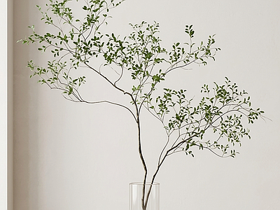艺术绿植灌木