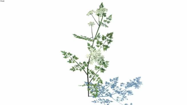 草，高聚合，VRY准备（082） 其他 画 植物 室外 地图