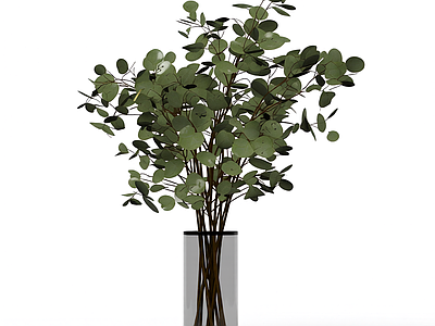 带瓶绿植装饰
