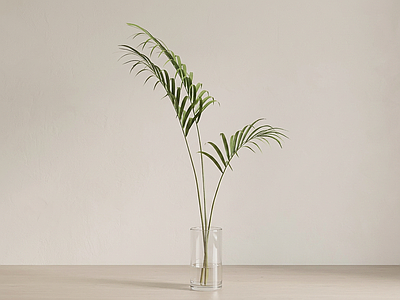 造型绿植草本植物