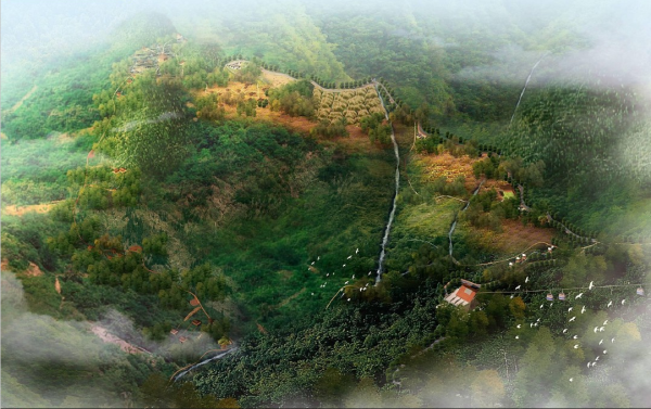 [重庆]“空谷幽兰”半山佛教景区景观规划设计方案 度假村景观
