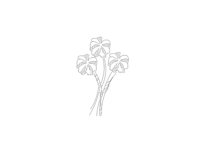 花 植物图例
