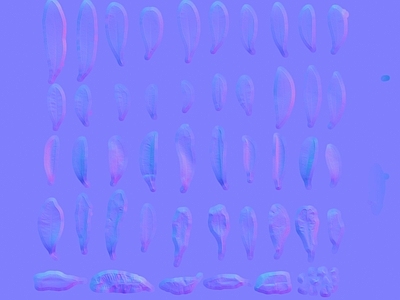 其他法线