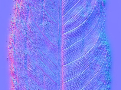 其他法线