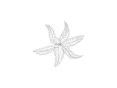 常用植物图例 短穗散尾葵