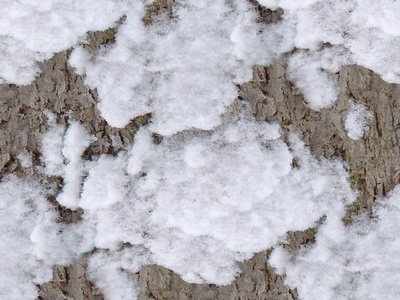 地面-雪地