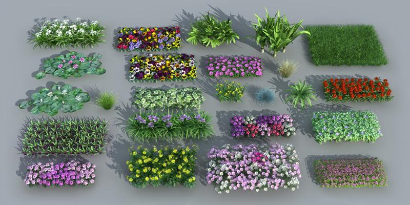 现代花草 灌木 组合 植被 鸢尾 牵牛花 鸟巢蕨 睡莲
