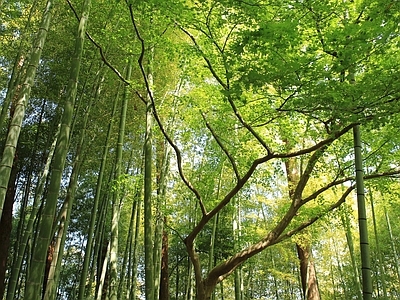 外景